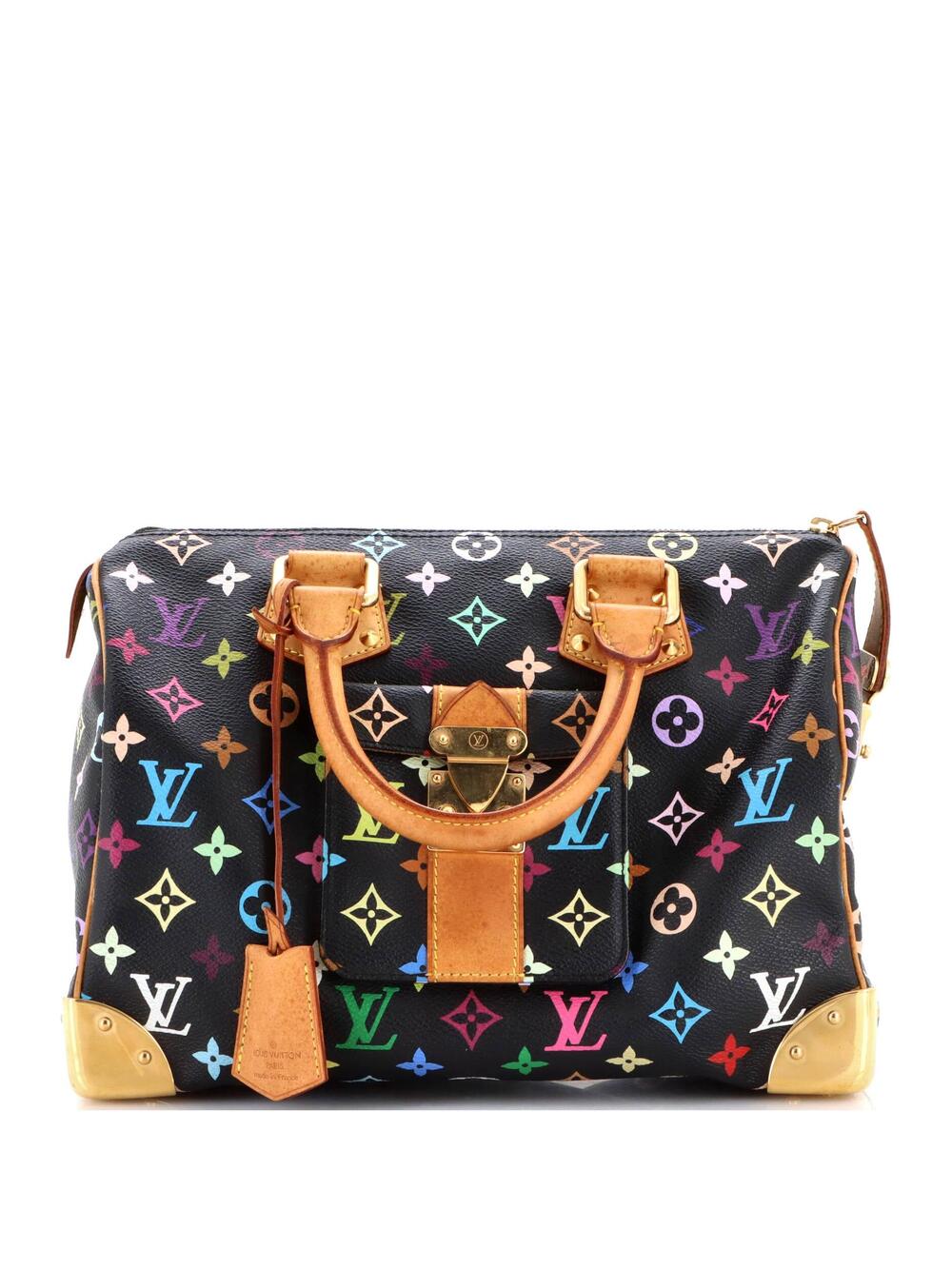 Louis Vuitton Speedy Handbag Multicolor #377502L24B